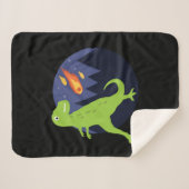 Der Meteorit der fest Sherpadecke (Vorderseite (Horizontal))