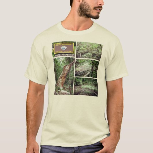 Der Millhopper des Teufels Staats-Park T-Shirt (Vorderseite)