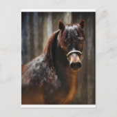 Der Mini-Stallion Postkarte (Vorderseite)