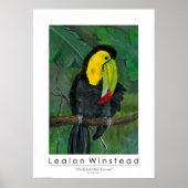 Der mit Keel verkleidete Toucan Poster (Vorne)