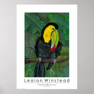 Der mit Keel verkleidete Toucan Poster