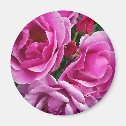 Der mitfühlende Freund Magnet (Vorne)