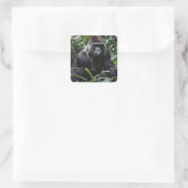 Der Mitternachts-Gorilla-König: Monarch des Waldes Quadratischer Aufkleber (Tasche)