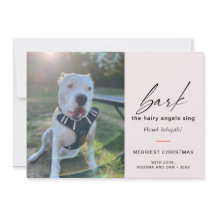 Der moderne Hund bellt die Hairy Angles Sing Foto