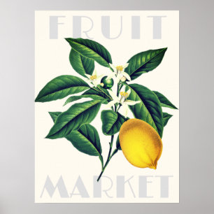 Der moderne Retro Obstmarkt Lemon Blossom Poster