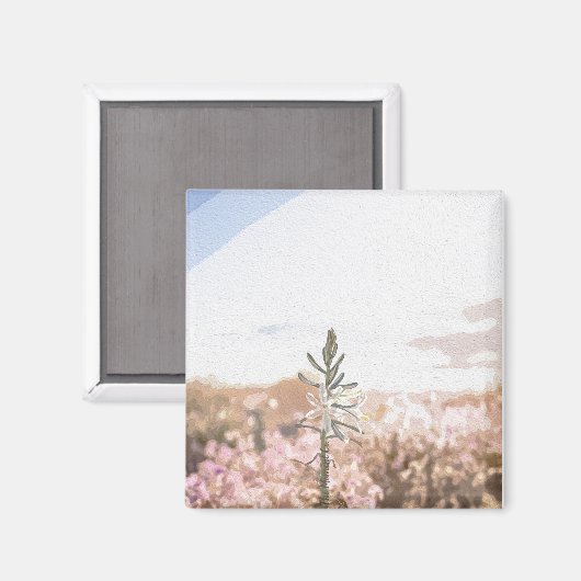 Der Moment Co. Magnet (Vorderseite/Rückseite)