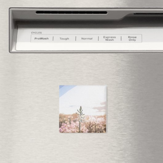 Der Moment Co. Magnet (In Situ (Geschirrspüler))