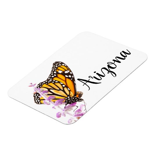 Der Monarch auf dem Lavendel, Arizona Magnet (Linke Seite)
