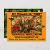 Der Monarch Butterfly ist gefährdet, wie kann man  Postkarte (Vorne/Hinten)