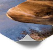 Der Monarch des Glens Poster (Ecke)