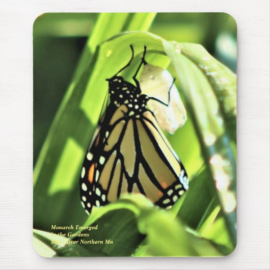Der Monarch entstand im Garten Mousepad (Vorne)
