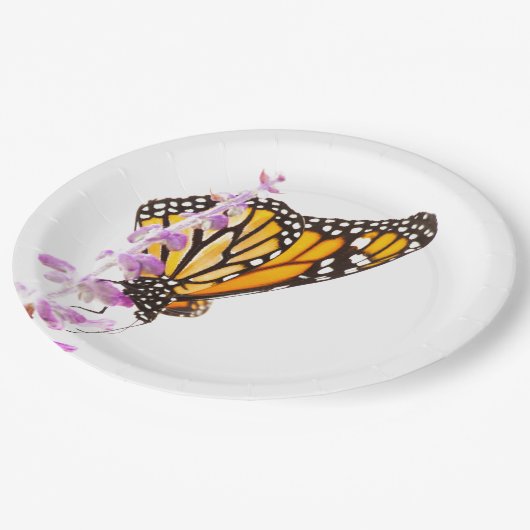 Der Monarch ist auf dem Lavendel Pappteller (Schrägansicht)