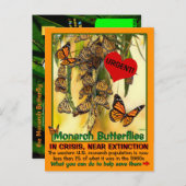 Der Monarchen-Schmetterling ist gefährdet - helfen Postkarte (Vorne/Hinten)