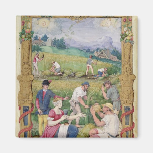 Der Monat des Augusts: Die Ernte Magnet (Vorne)