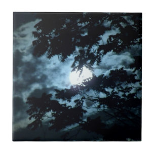 Der Mond beleuchtet die Nacht hinter Baumzweigen Fliese