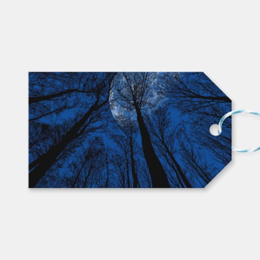 Der Mond in der nächtlichen Himmel Geschenkanhänger (Vorderseite (Horizontal))