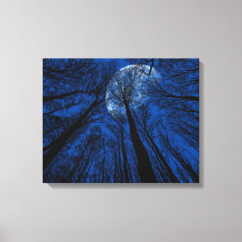 Der Mond in der nächtlichen Himmel Leinwanddruck