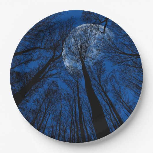 Der Mond in der nächtlichen Himmel Pappteller (Vorderseite)