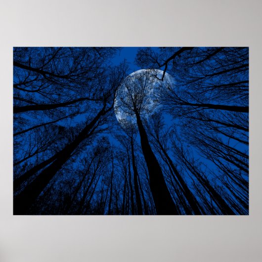 Der Mond in der nächtlichen Himmel Poster (Vorne)