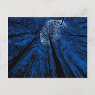 Der Mond in der nächtlichen Himmel Postkarte