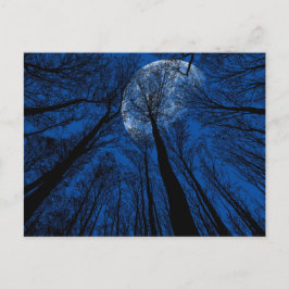 Der Mond in der nächtlichen Himmel Postkarte