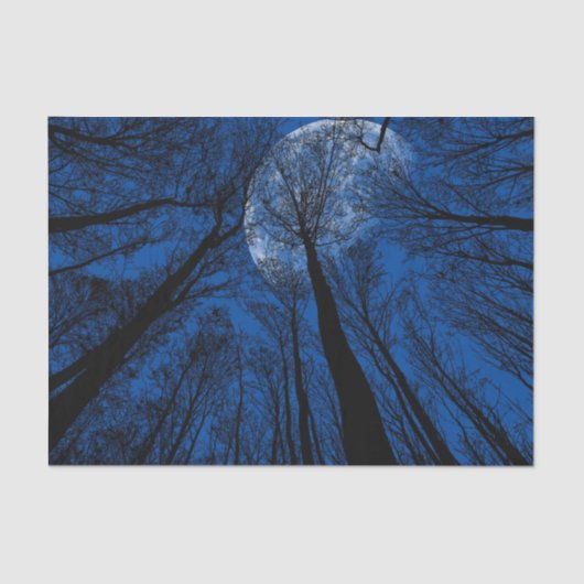 Der Mond in der nächtlichen Himmel Seidenpapier (Vorderseite)