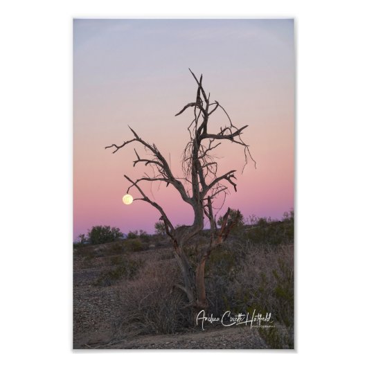 Der Mond packen Fotodruck (Vorne)