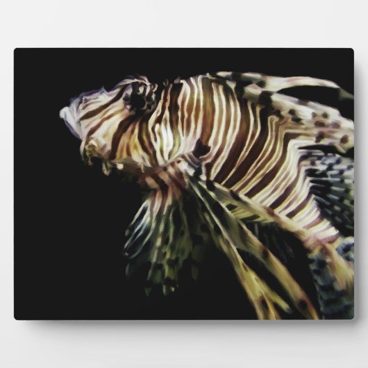 Der Mondfisch Fotoplatte (Vorderseite)