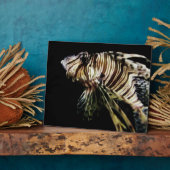 Der Mondfisch Fotoplatte (Seite)