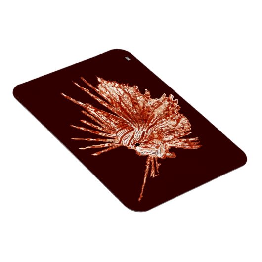 Der Mondfisch Magnet (Rechte Seite)