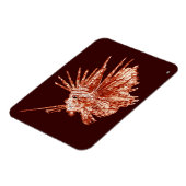 Der Mondfisch Magnet (Linke Seite)