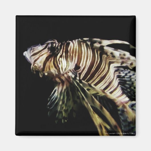 Der Mondfisch Magnet (Vorne)