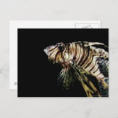 Der Mondfisch Postkarte (Vorne/Hinten)