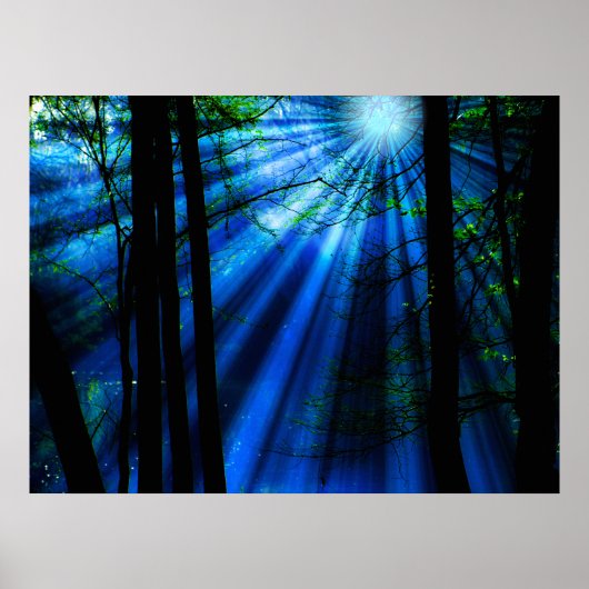 Der Mondlichter strahlt am See Poster (Vorne)