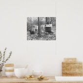 Der Mondschein noch im Wald, 1931. Vintages Foto Poster (Küche)