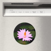 Der Monet-Effekt ... Magnet (In Situ (Geschirrspüler))