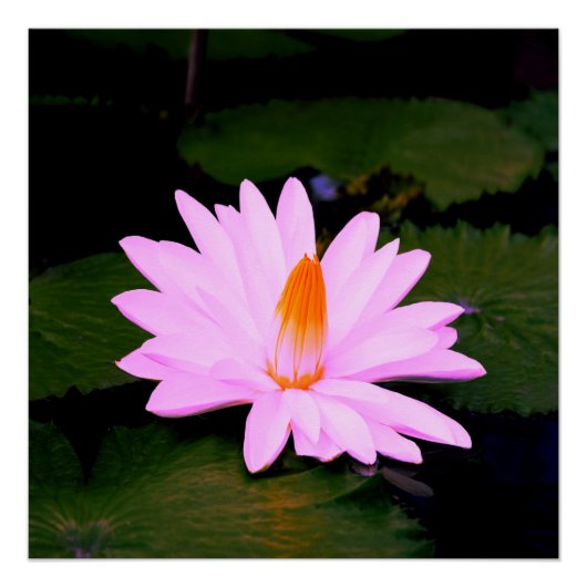 Der Monet-Effekt ... Poster (Vorderseite)