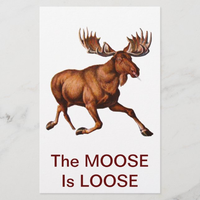 DER MOOSE IST VERLIERT (Vorderseite)