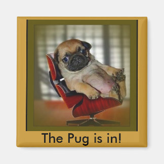 Der Mops ist da! Magnet
