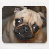 Der Mops Mousepad (Vorne)