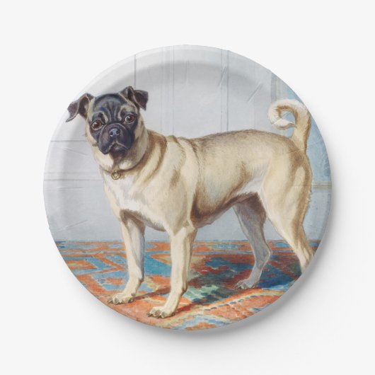 Der Mops von Conradijn Cunaeus Pappteller (Vorderseite)