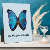 Der Morpho-Schmetterling Fotoplatte (Seite)