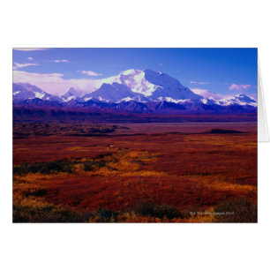 Der Mount McKinley