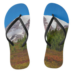 Der Mount Rainier drehen Reinfälle um Badesandalen