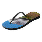 Der Mount Rainier drehen Reinfälle um Badesandalen (Schrägansicht)