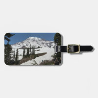 Der Mount Rainier N.P. (Paradies)