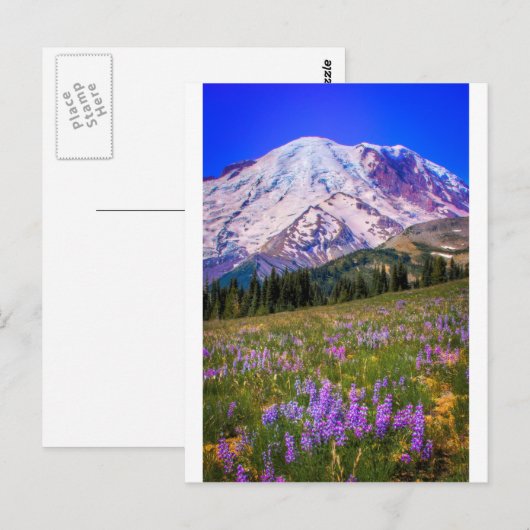 Der Mount Rainier Postkarte (Vorne/Hinten)