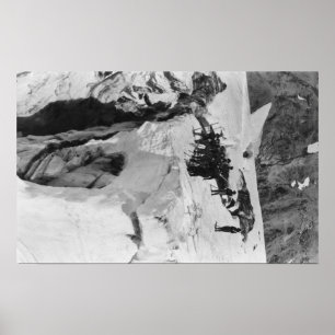 Der Mount Rainier, WA Nisqually Poster