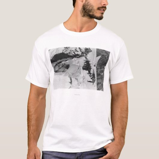 Der Mount Rainier, WA Nisqually T-Shirt (Vorderseite)