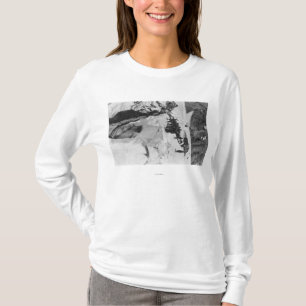 Der Mount Rainier, WA Nisqually T-Shirt
